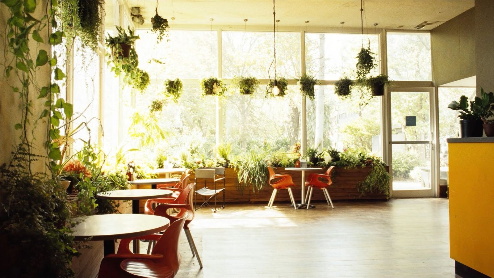 CJ's Café, sunlit and full of hanging plants, round tables with orange chairs, and a yellow counter by the door.